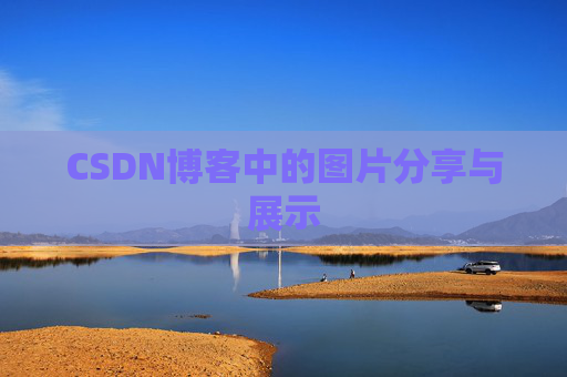 CSDN博客中的图片分享与展示